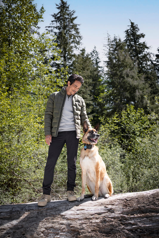 Gesteppte Jacke in Ivy Green mit hohem Stehkragen und unterschiedlich großen, rechteckigen Steppkammern. Die körpernahe Form verläuft gerade bis zur Hüfte.